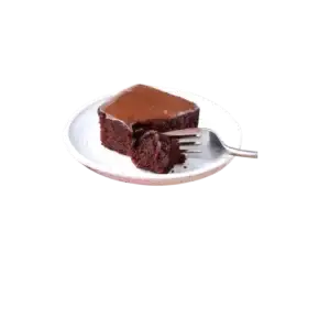 Chocolate Brownie/Chocolate fudge cake slices