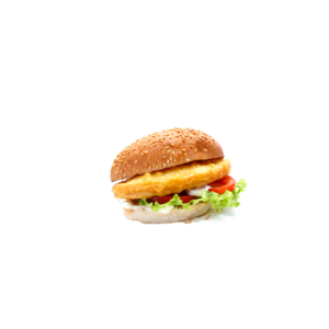 Chicken Steak Burger